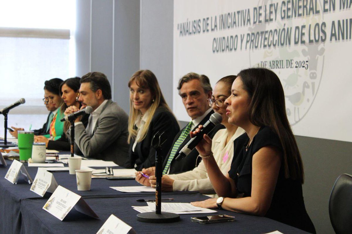 Las y los legisladores del <a href="/partidoverdemex/">Partido Verde</a> reafirmamos nuestro compromiso con el bienestar animal.

En el Foro para la Construcción de la Ley General de Bienestar, Cuidado y Protección de los Animales, celebrado en el <a href="/senadomexicano/">Senado de México</a>, seguimos impulsando una legislación con