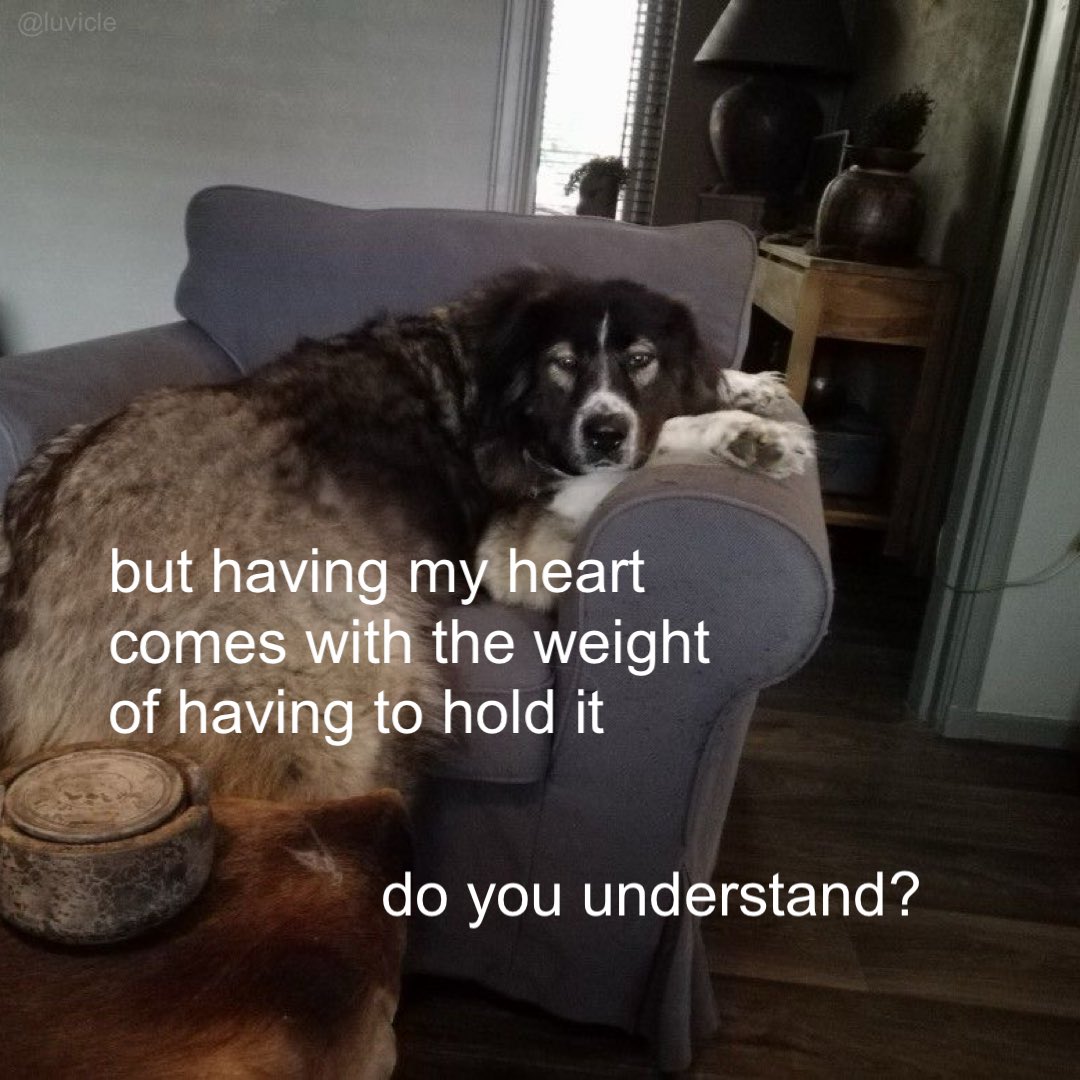 luvicle (@saiwormoon) on Twitter photo 