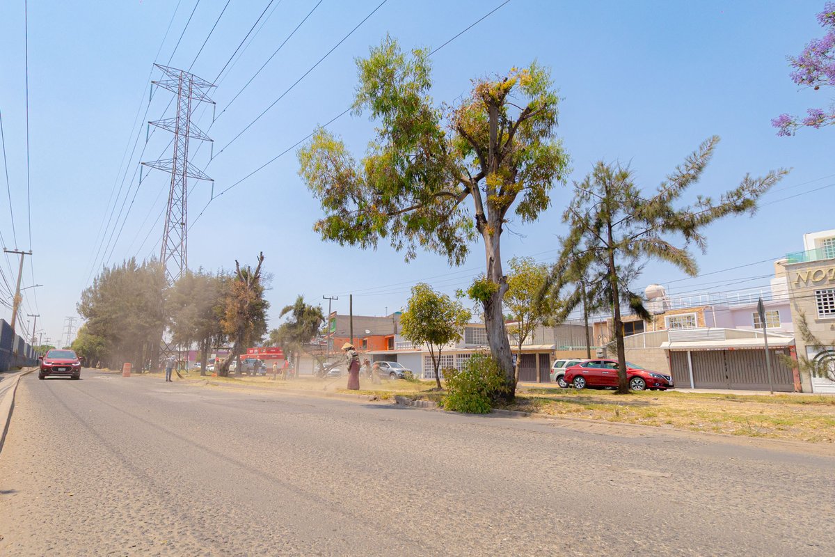 GobCoacalco2022's tweet photo. ¡Coacalco lo merece! En Av. Mexiquense, el equipo de Servicios Públicos sigue en acción con los trabajos de limpieza y poda para ofrecer un entorno más limpio y seguro. ¡Así avanzamos juntos por un #CoacalcoLimpio!🚛🌳 

#ContinuidadDeBuenosResultados https://t.co/of9Jc8GlTu