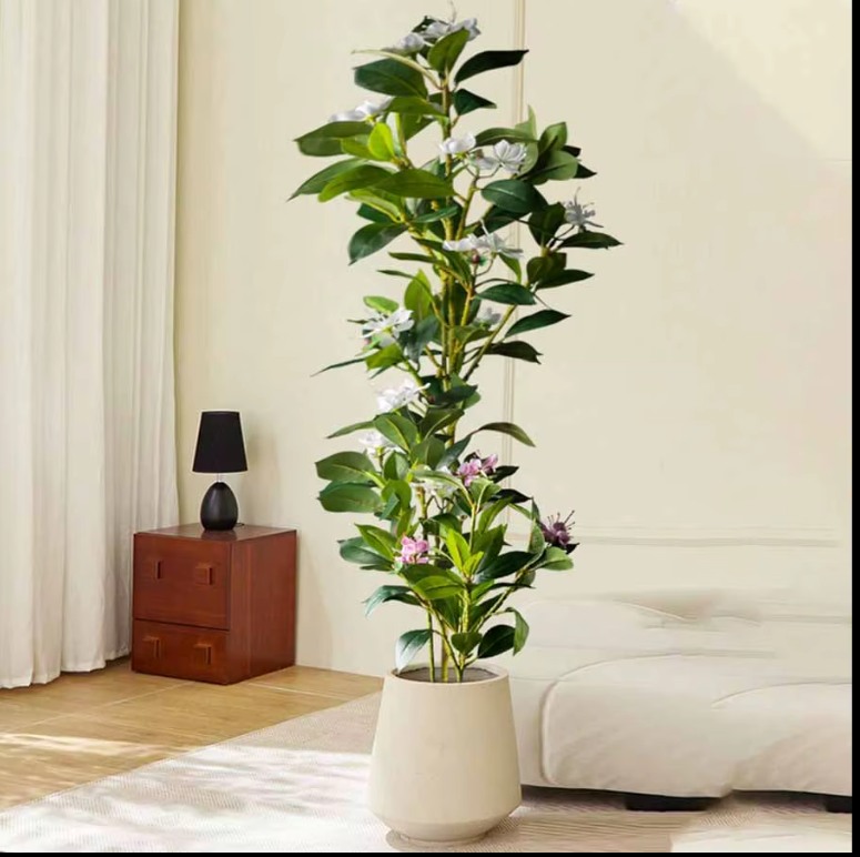 bloomhavenshop's tweet photo. 🌿 Evergreen Beauty, Zero Effort! 🌿 Our ultra-realistic Artificial Ficus Plant adds lush greenery to any space—no watering, no pruning! Perfect for home, office &amp; patio. 🌱 

📷 Available in multiple sizes $18.99 – $52.99

Shop now: https://t.co/n3u33YXMp8 #GreeneryMadeEasy https://t.co/z4JcfGA4DS