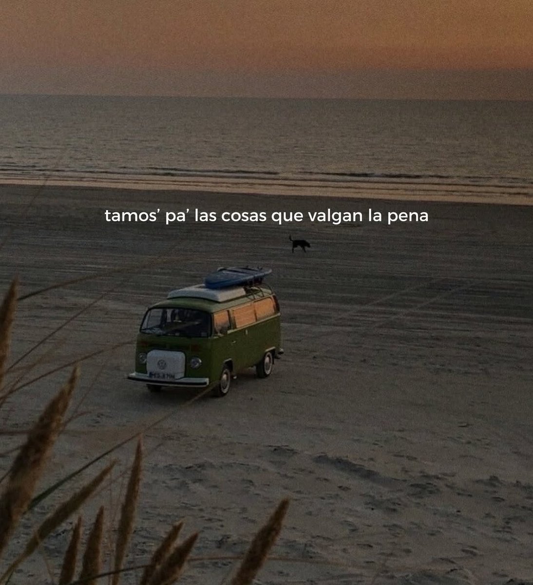 Pensamientos (@frasesimple) on Twitter photo 