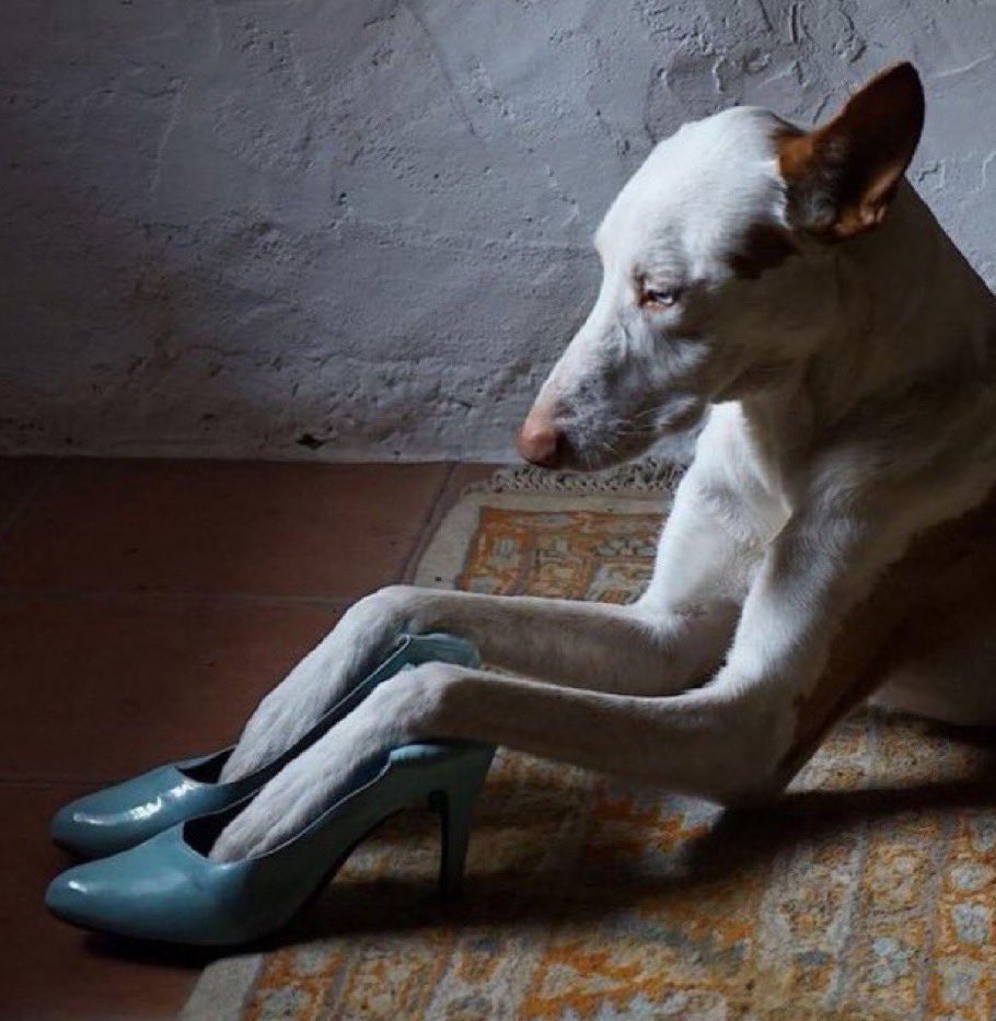 Uno ya nomás trabaja para ir a ver a nuestras divas pop.