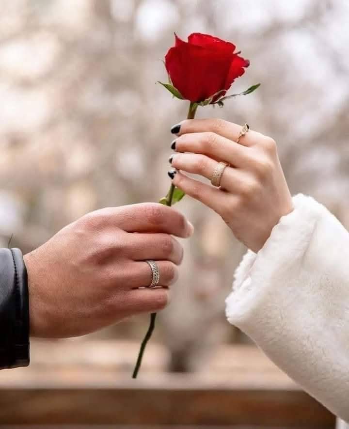 صرت مدرسه بحبڰ. وانت صفي
وهاک الگلب بيدڪ.. وانت صفي
اغار عليک من تكعد... بصفي
اذا تبعد شبر شيصير بيه