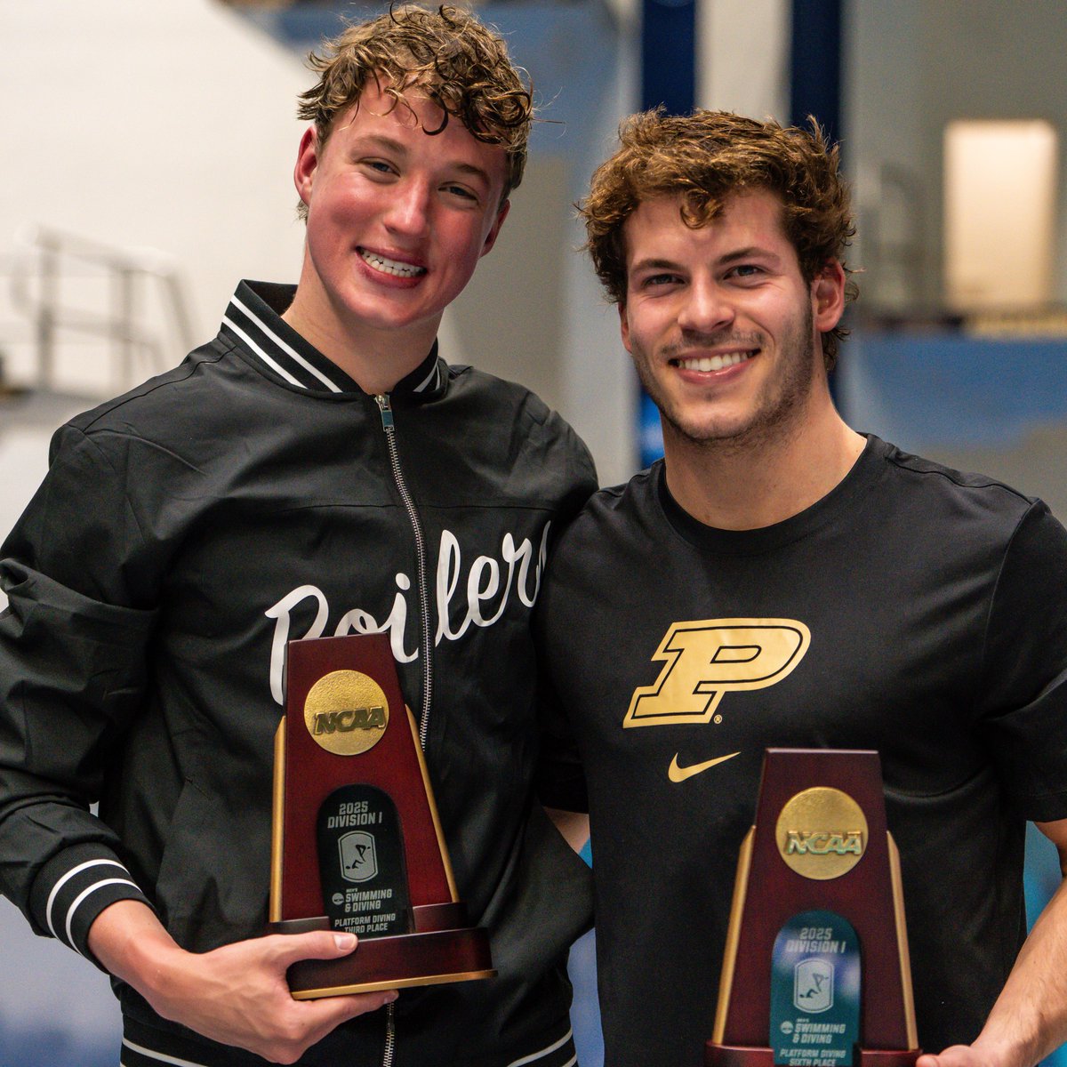 Purdue Diving tweet media