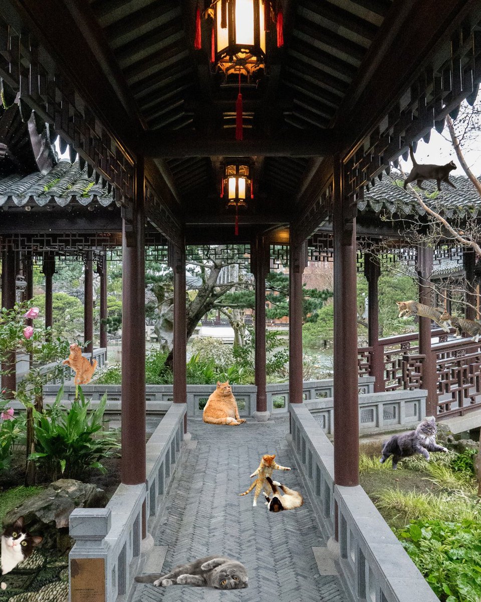 📢 BREAKING MEWS: Lan Su Chinese Garden is now… Lan Meow Cat Garden?! 蘭喵園 🙀 A feline faction staged a purrfect coup, claiming every corner for their own mysterious yet adorable purposes. Will Lan Su ever return to its former state, or has the Meow dynasty begun?
#AprilFools