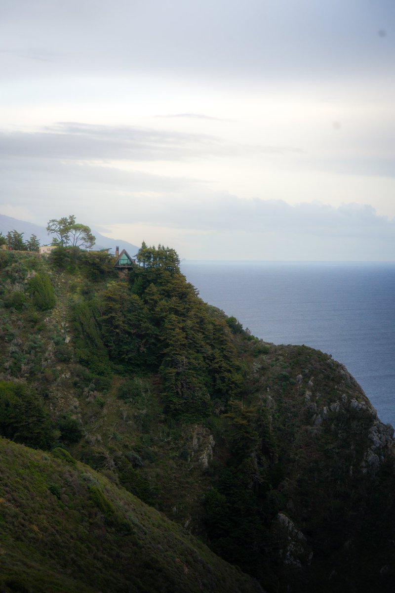 Sara Vozel tweet media