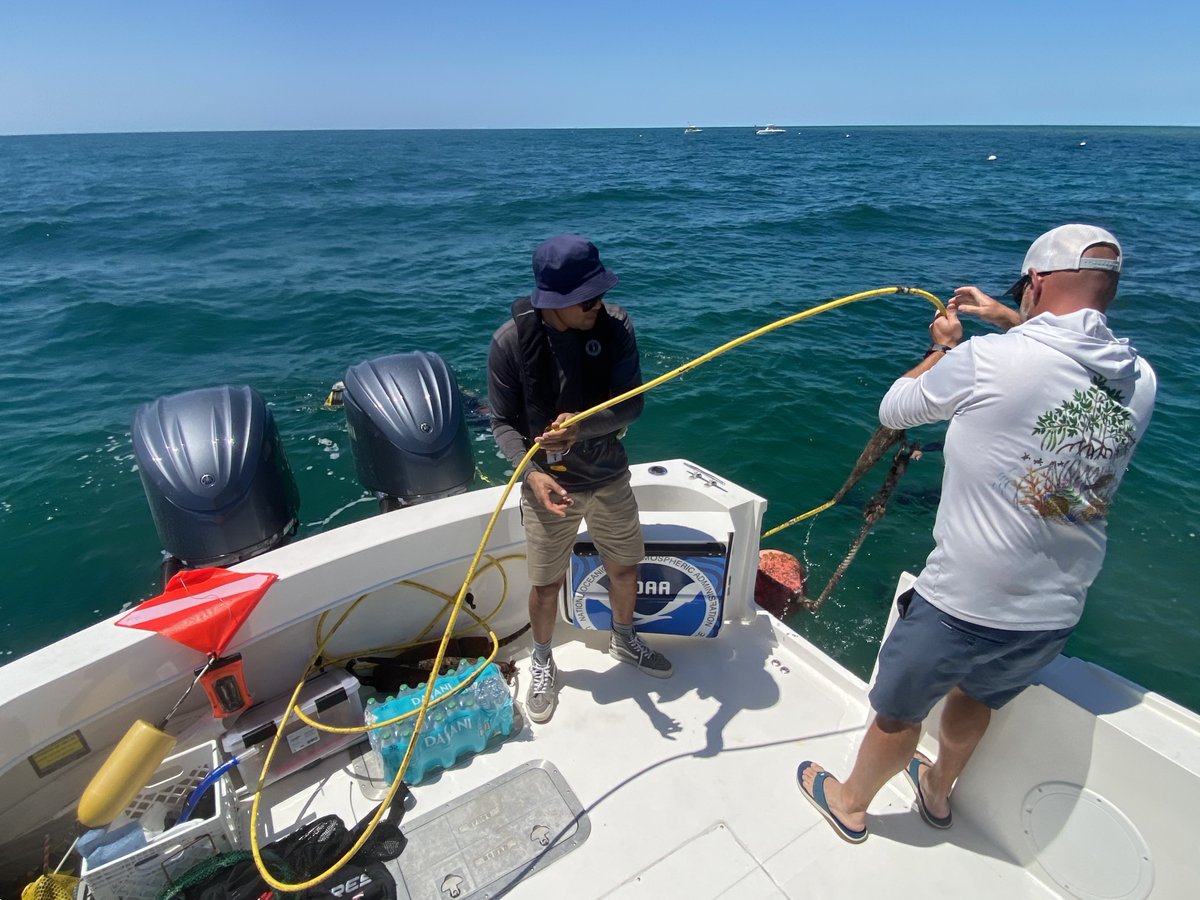 The Mission: Iconic Reefs team had to retrieve the temperature data buoy from Looe Key to update a couple of sensors. We’ll have it back on site soon enough. Here’s the link to the real-time data page produced by our buoys up and down the Keys.

aqualink.org/collections/811