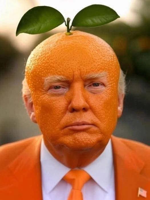 Best pic ever of the 'Tangerine buffoon'