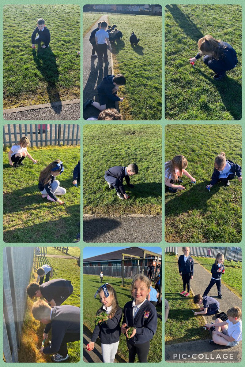 BlacklandsPS's tweet photo. April Fools! - Mr D and Mrs T told P2/3 the grass needed a trim with scissors today! #superhelpers https://t.co/I6OMfSXa0d