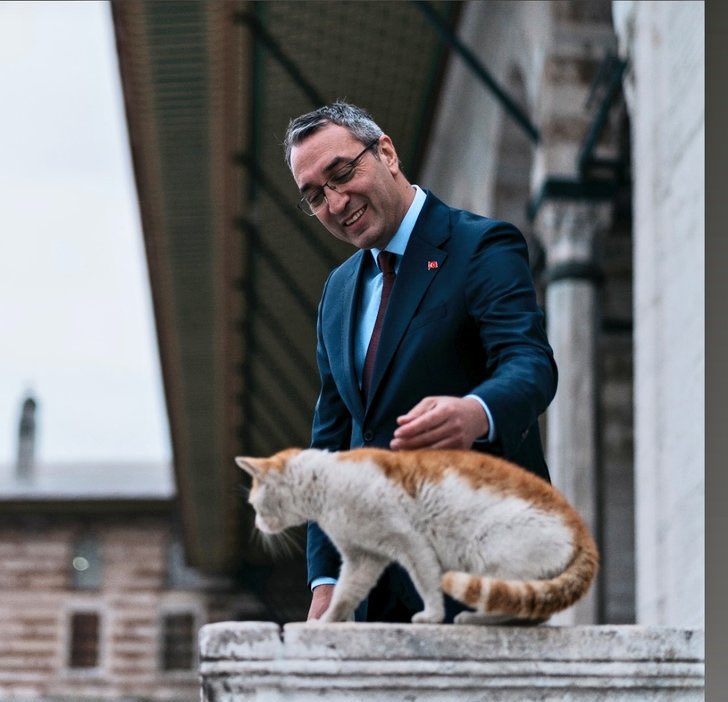 Adam kalp hastası, hapishanede hayatını kaybederse ne olacak?

Mahir Polat'a özgürlük... #MahirPolatıSerbestBırakın