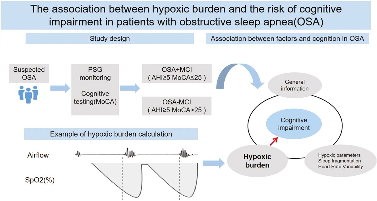 Sleep Research Society (@researchsleep) on Twitter photo Obstructive #sleepapnea (OSA) is linked to cognitive decline, but traditional measures fall short. We found hypoxic burden better predicts #cognitive impairment 🧠, making it a valuable tool for assessing OSA risks. ow.ly/g8V750VsyYC <a href="/sleepjournals/">SLEEP and SLEEP Advances</a> #SleepHealth Obstructive #sleepapnea (OSA) is linked to cognitive decline, but traditional measures fall short. We found hypoxic burden better predicts #cognitive impairment 🧠, making it a valuable tool for assessing OSA risks. ow.ly/g8V750VsyYC <a href="/sleepjournals/">SLEEP and SLEEP Advances</a> #SleepHealth