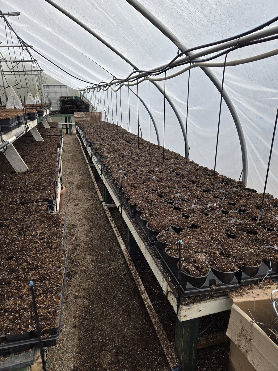 Jeff R Simondet tweet media