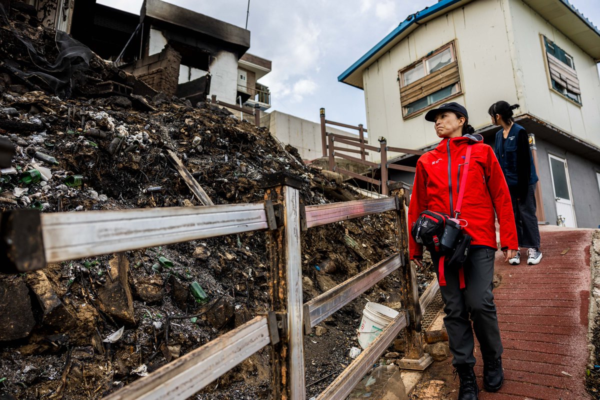 Peace Winds tweet media