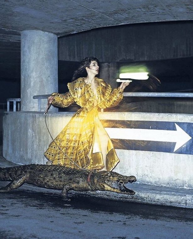 Very unfair that Sam Mendes can make 4 films about each member of the Beatles, and yet I can’t make just one film about the time Kate Bush did a photoshoot with a stuffed crocodile in a car park 😤