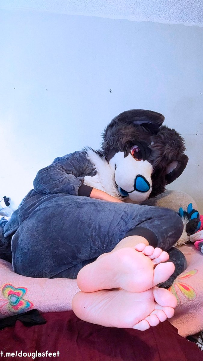 sadcat16hrzAD's tweet photo. Good morning 🐾🐱
#feet #furryfeet https://t.co/0IzIwotsfs