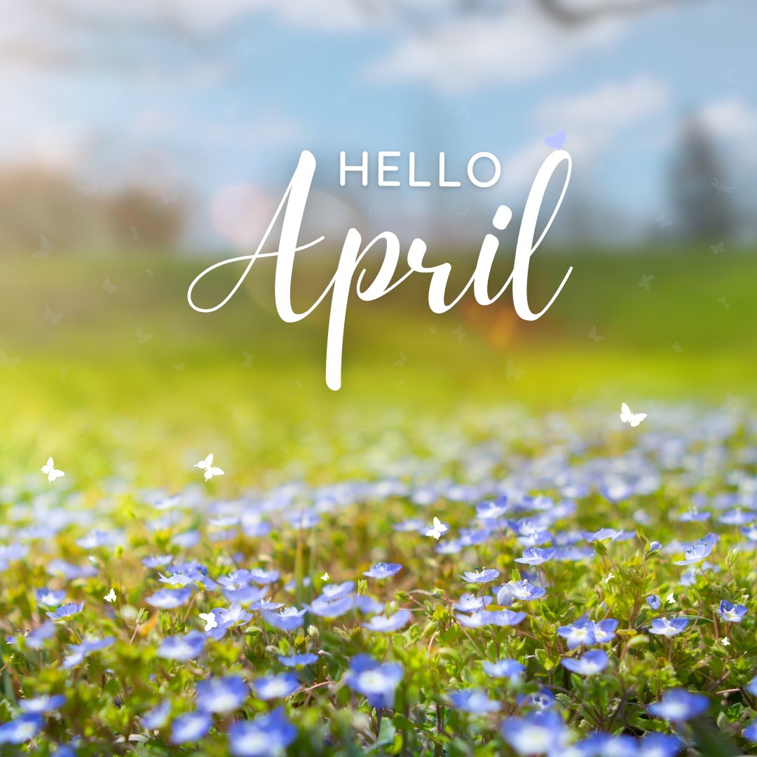 🌸 Hello, April! 🌸

Spring is in full bloom, and it’s the perfect time to enjoy nature’s colorful display! 🌿✨ Wildflowers are popping up everywhere—where’s your favorite spot to see them? 🌻💐
Drop a comment with your go-to wildflower location and share a photo!