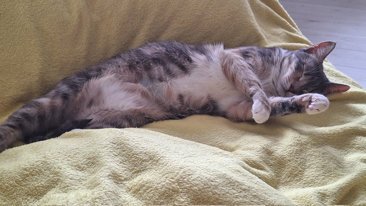 У меня тоже своего рода нерпа