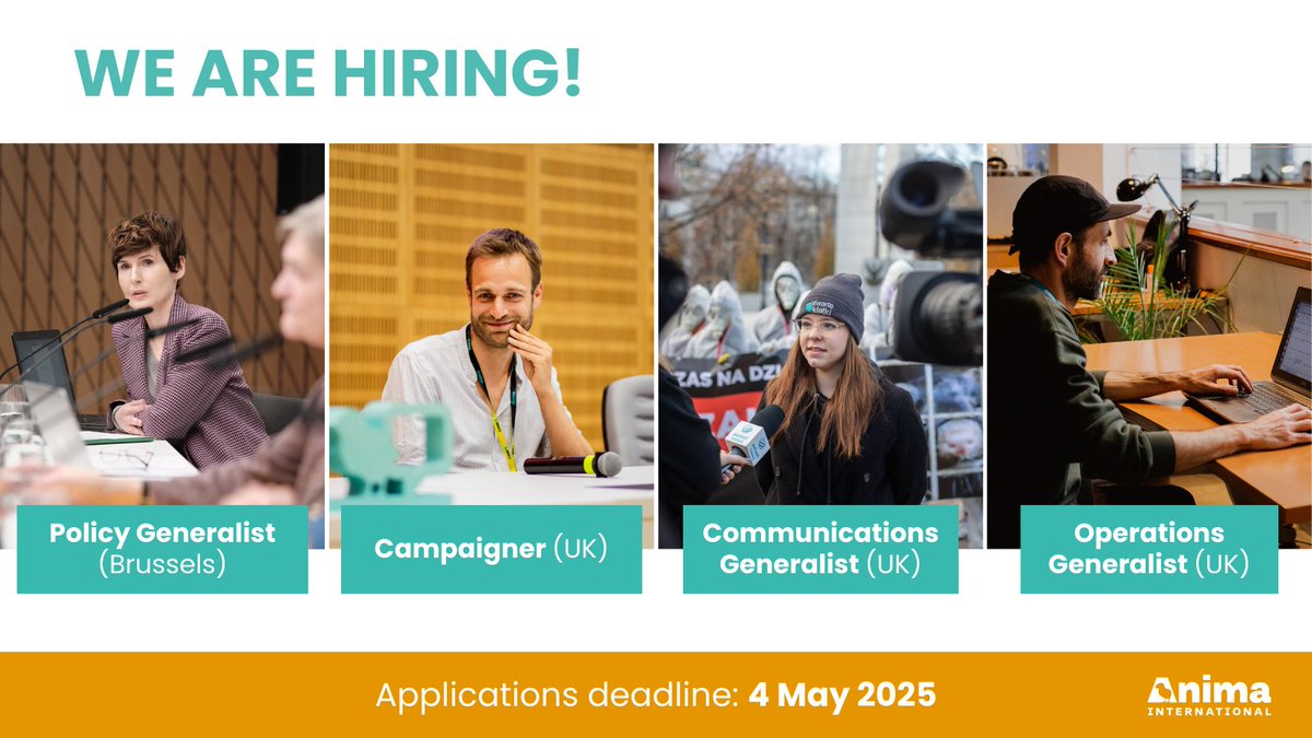 Anima International (@anima_int) on Twitter photo 🔥 Join our team! We’re looking for passionate people to create a better world for millions of farmed animals.
⏱️  Applications deadline: 4 May 2025
Learn more and apply 👉🏻 animainternational.org/get-involved/j… 🔥 Join our team! We’re looking for passionate people to create a better world for millions of farmed animals.
⏱️  Applications deadline: 4 May 2025
Learn more and apply 👉🏻 animainternational.org/get-involved/j…