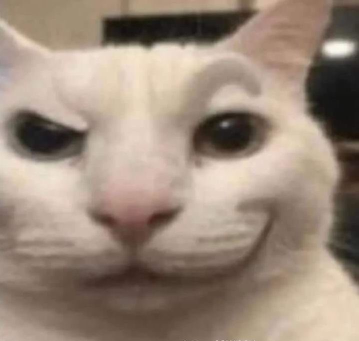 SC_cherry's tweet image. I hate everything and everyone