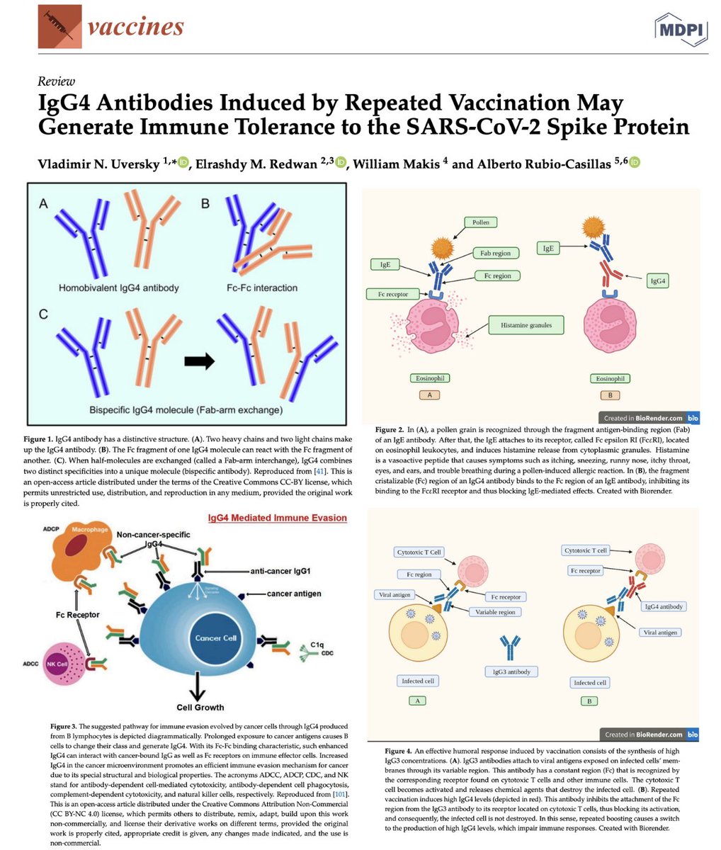 Nicolas Hulscher, MPH tweet media