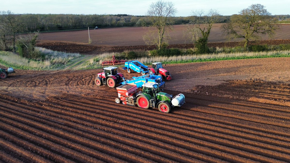 TheFarmingForum (@thefarmingforum) on Twitter photo Bit of light relief from the politics, there’s still some actual farming going on.
Possibly some of the best conditions for potato planting for a few years!
<a href="/Fendt_UKIreland/">Fendt UK & Ireland</a> <a href="/standeneng/">STANDEN ENGINEERING</a>
<a href="/MF_EAME/">Massey Ferguson Official</a> <a href="/AgVantageUKLtd/">AgVantage UK Ltd</a> Bit of light relief from the politics, there’s still some actual farming going on.
Possibly some of the best conditions for potato planting for a few years!
<a href="/Fendt_UKIreland/">Fendt UK & Ireland</a> <a href="/standeneng/">STANDEN ENGINEERING</a>
<a href="/MF_EAME/">Massey Ferguson Official</a> <a href="/AgVantageUKLtd/">AgVantage UK Ltd</a>