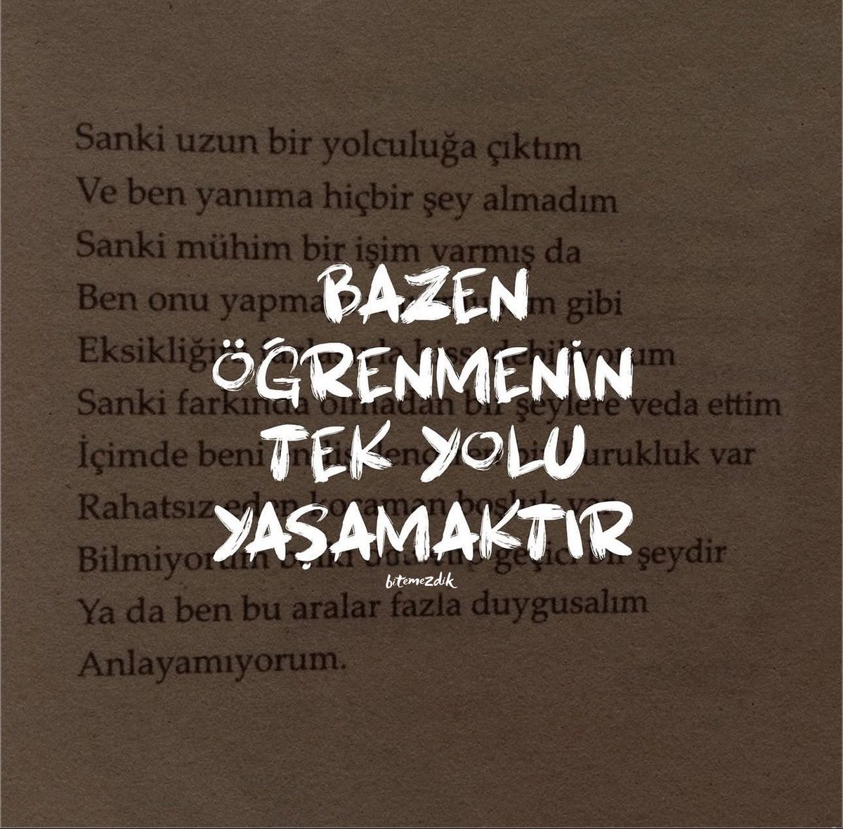 b. (@bitemezdik) on Twitter photo 