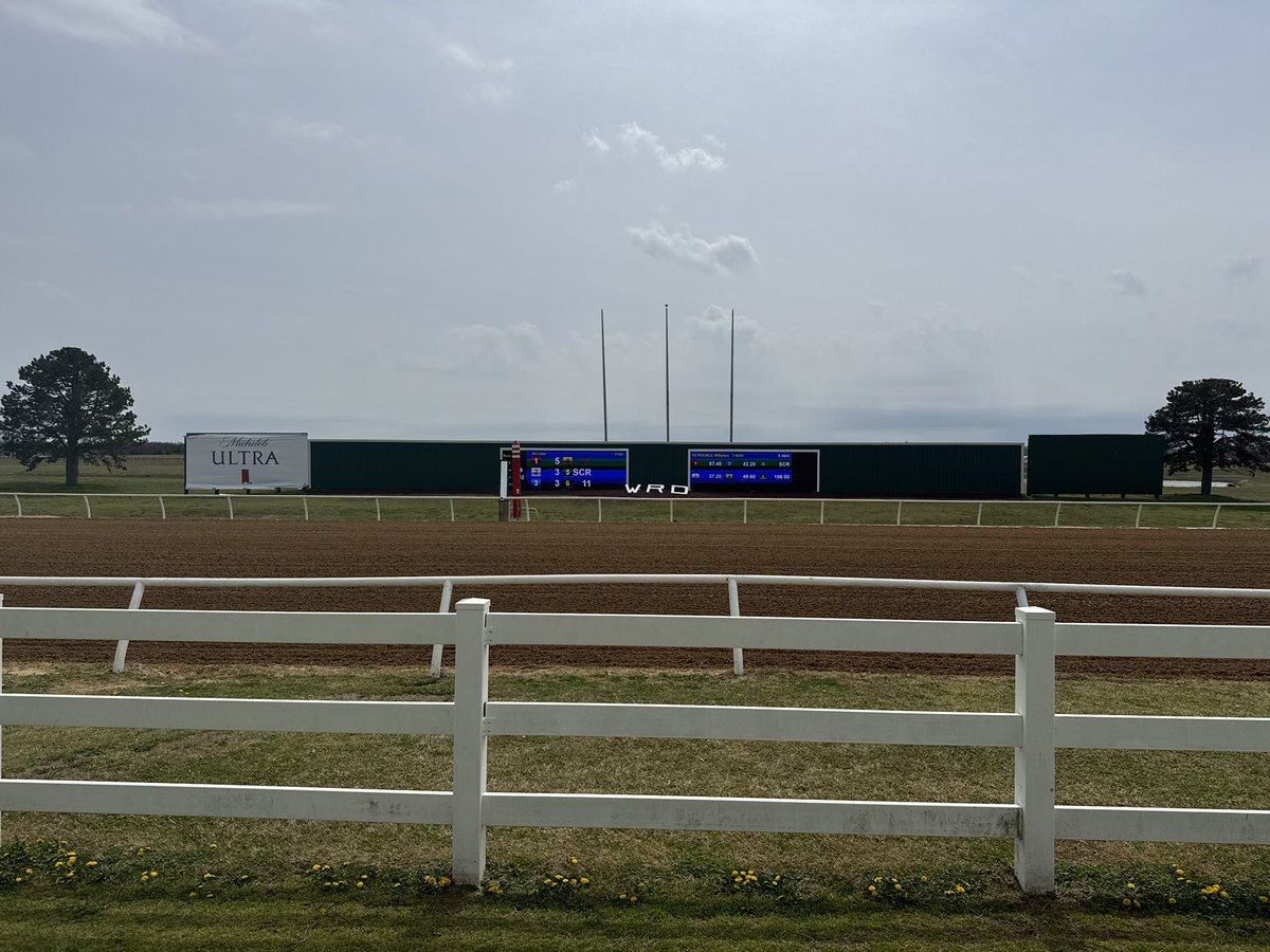 Racing Dudes tweet media