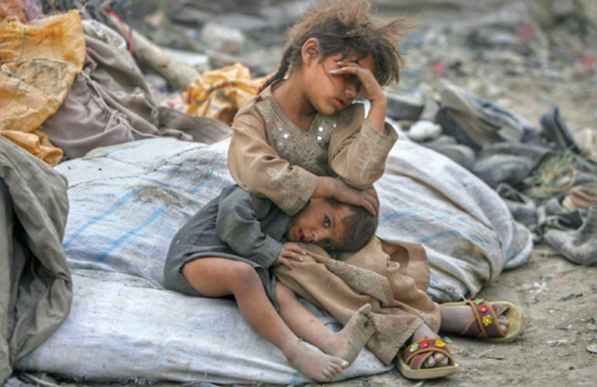 GENOCIDE IN PALESTINE <a href="/UN/">United Nations</a> #RefahAblukaAltında