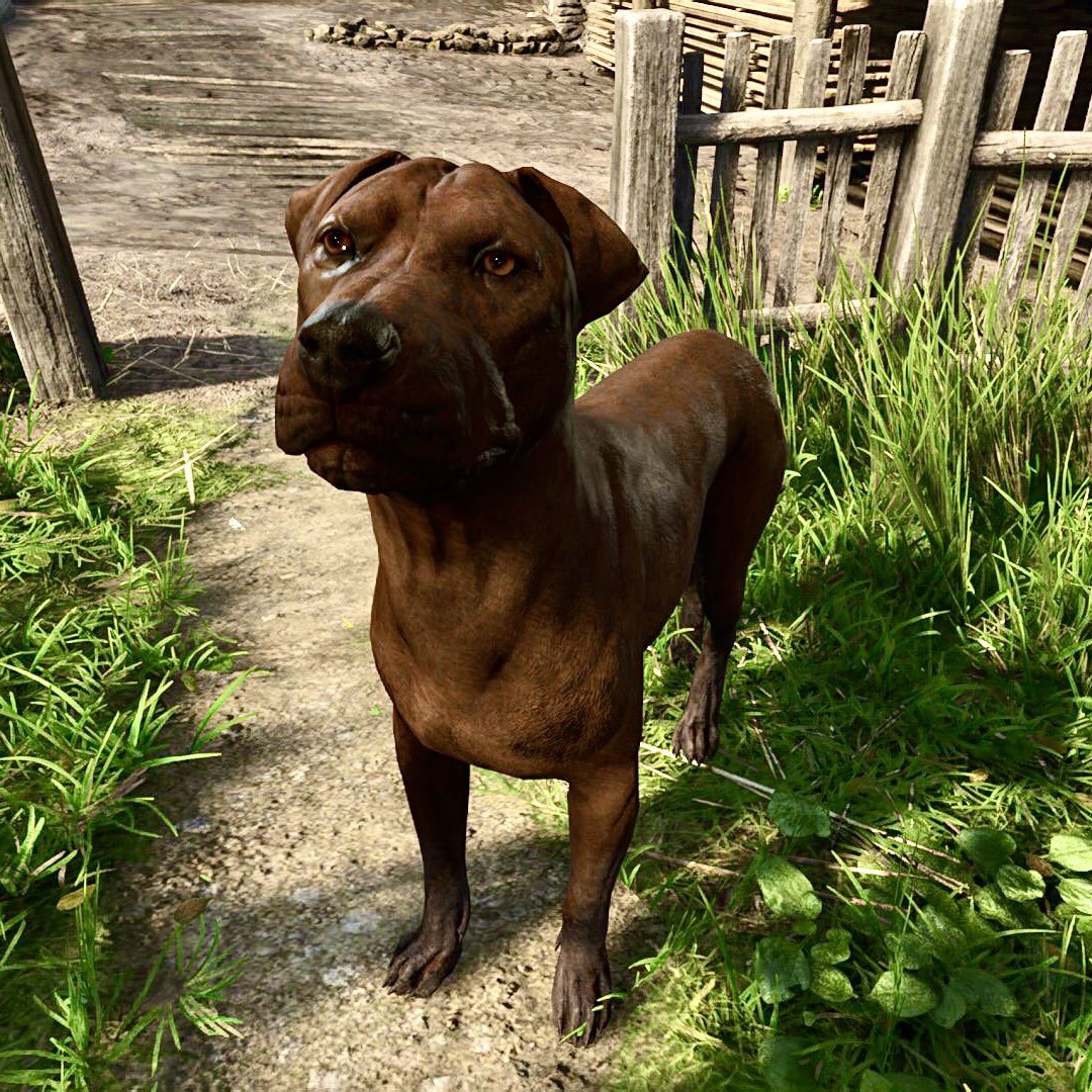 AlexCreo's tweet photo. Look into his eyes and feel some oink-oink

#KCD2 #KCD #kingdomcomefeliverance2 #RPG #games #immersive #boar #dog #cow #horse #oink https://t.co/JvKRmDXB16
