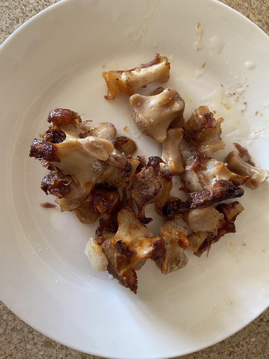 Lifeheuristic's tweet image. Shredded slow-cooked oxtail with eggs. Not pretty but very tasty.