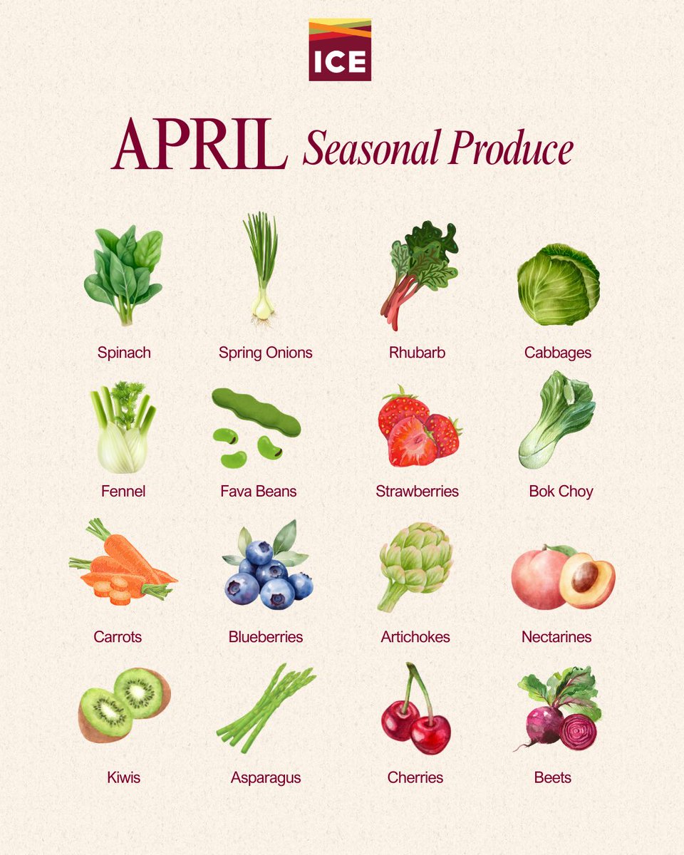 iceculinary's tweet image. ✨🌸Spring has finally sprung! 🌸✨ 

Kick off #April with fresh, in-season produce. Tag a friend who loves cooking with seasonal flavors! 🍓🥕💚

#ICEculinary #SpringProduce