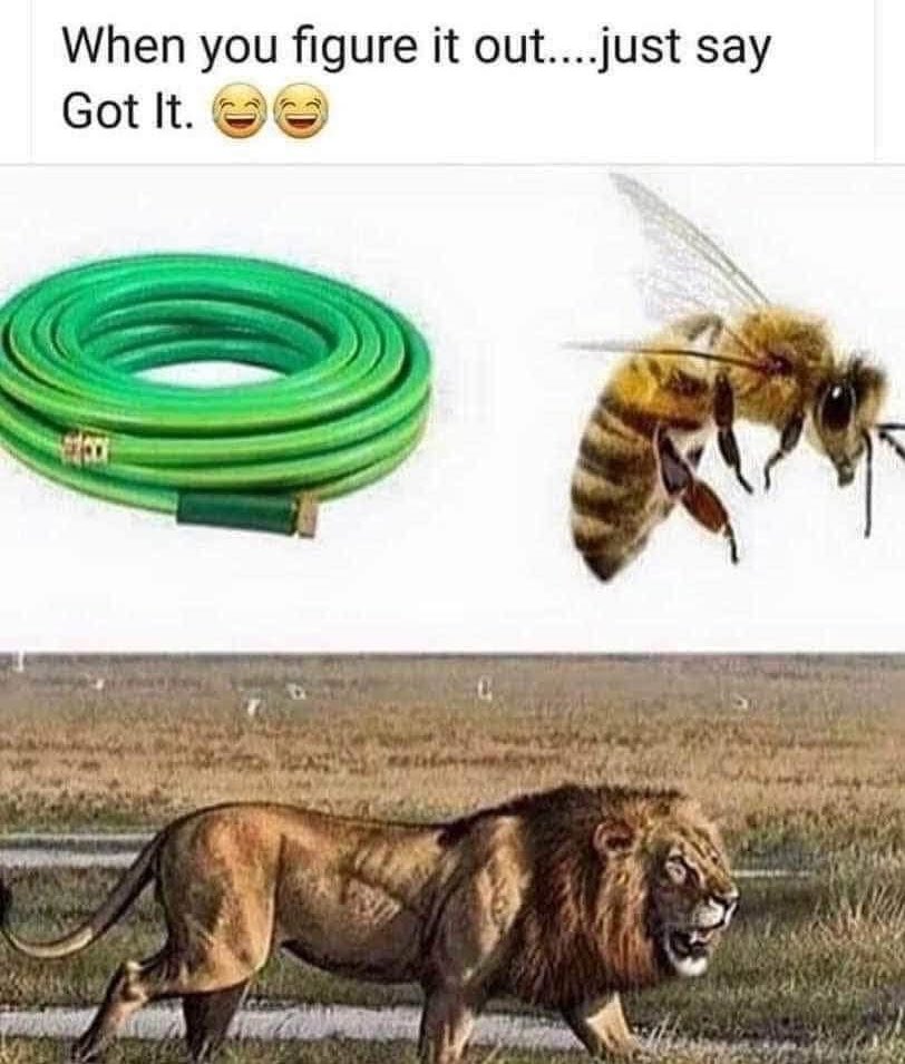 GneNmfaXAAA2Wy5?format=jpg&name=medium