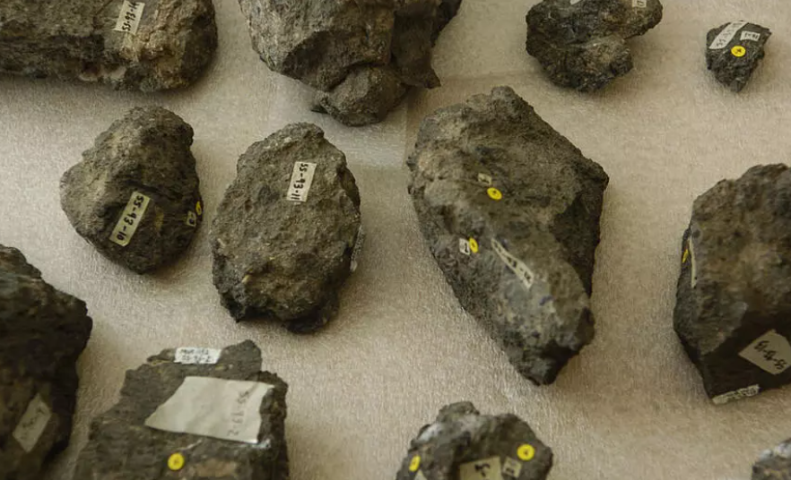 PaleontologieFr's tweet image. [Jusqu’où va la science ?]
Sur les crottes 💩 de #dinosaures  
📻 Une analyse des excréments #fossilisés de dinosaures permet de mieux comprendre comment ces animaux sont devenus prédominants sur terre.
🔉4 min d&apos;écoute
#bromalithe #coprolithe
@RFI

rfi.fr/fr/podcasts/ju…