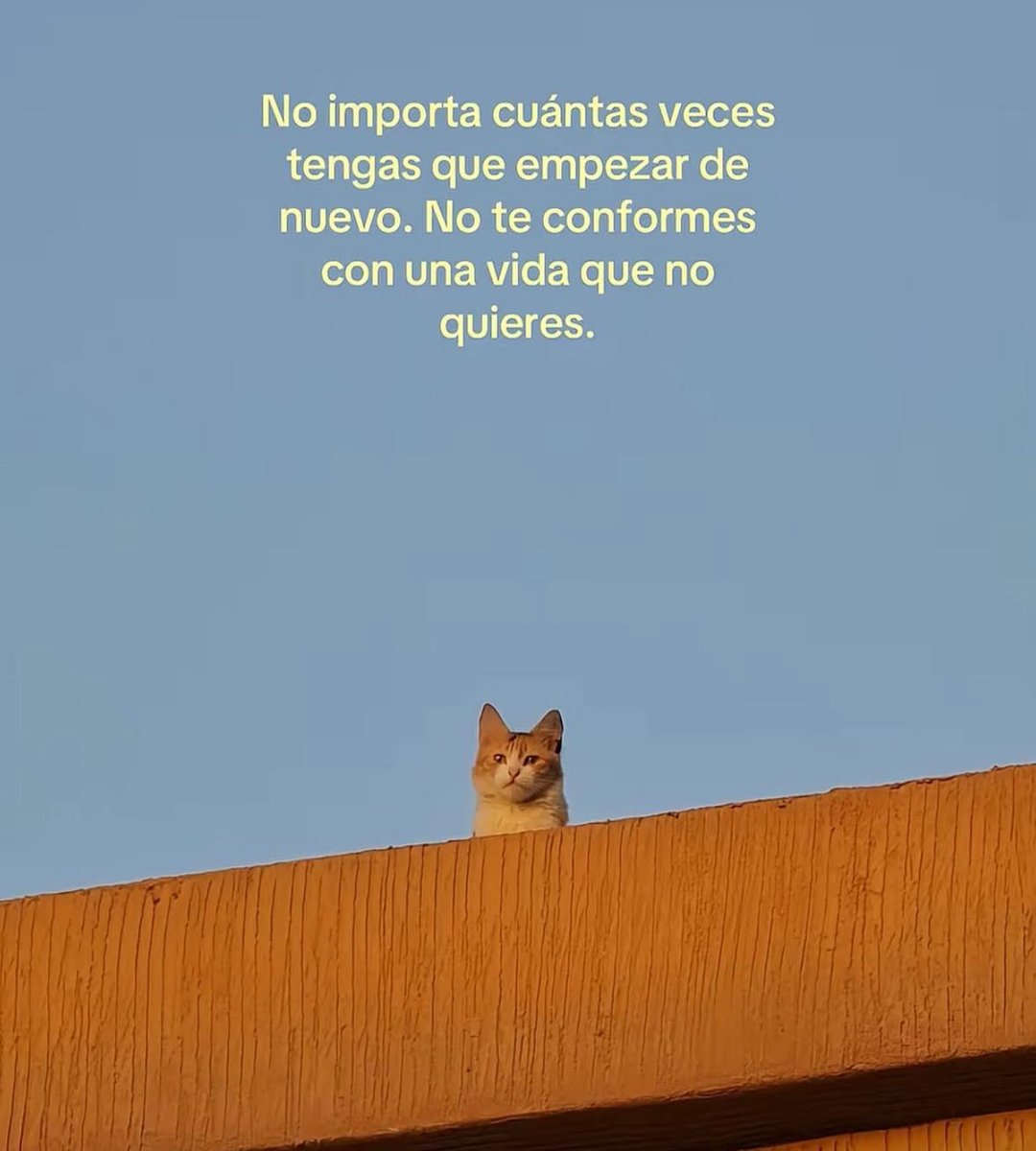 dilocondibujos_'s tweet image. siempre se puede volver a comenzar.