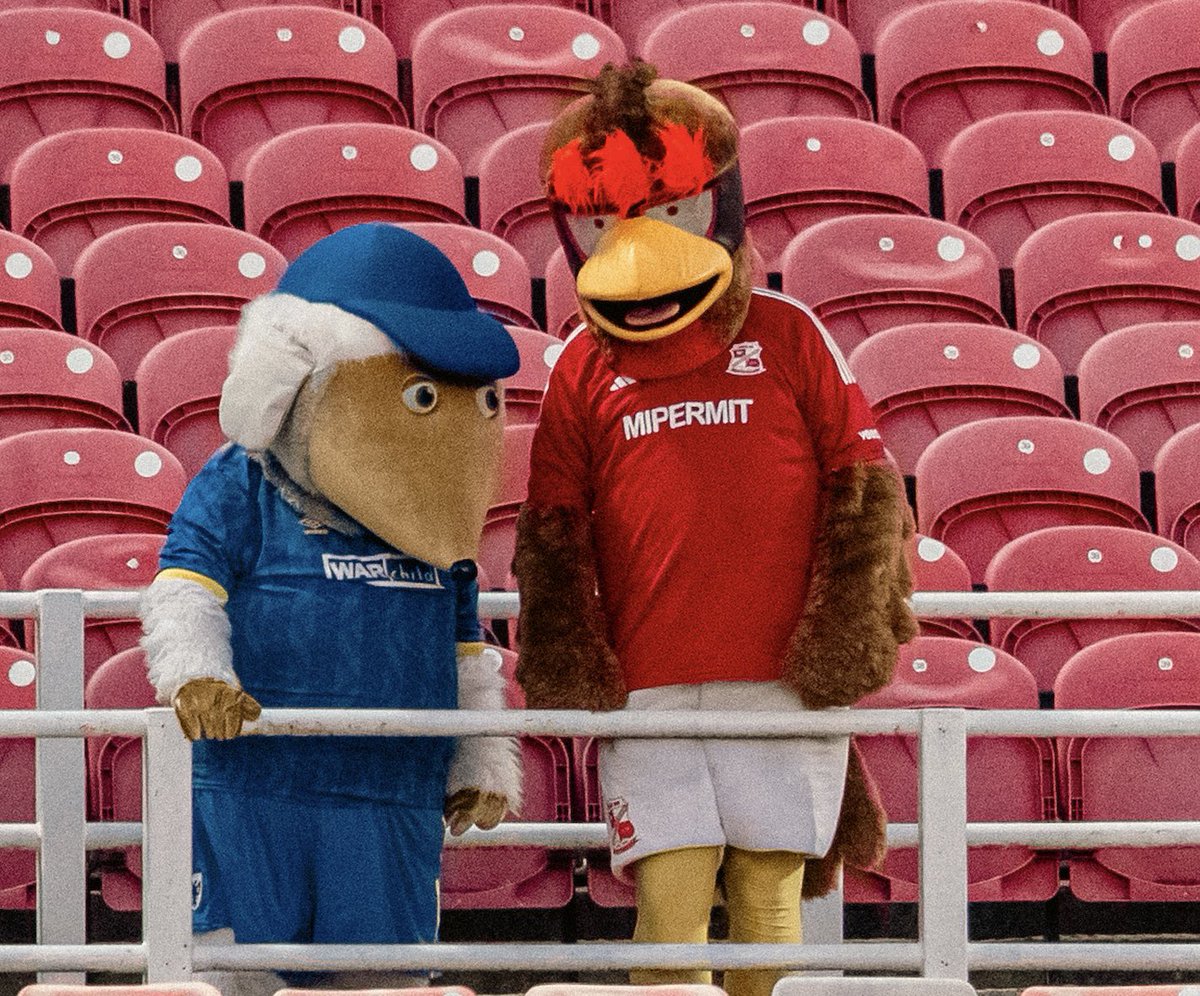 AFCWimbledon's tweet photo. Follow the Dons (A) @HaydontheWomble ✊

#AFCW 🟡🔵 https://t.co/PelZJVwHBR