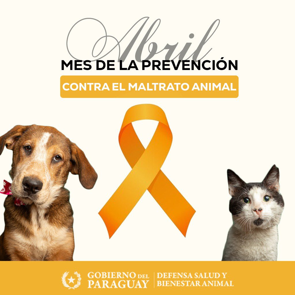 Mes de la prevención contra el maltrato animal 🧡

El lazo naranja es uno de los símbolos contra la crueldad y el maltrato hacia los animales, y abril es el mes en el que se potencia la concienciación sobre ello.