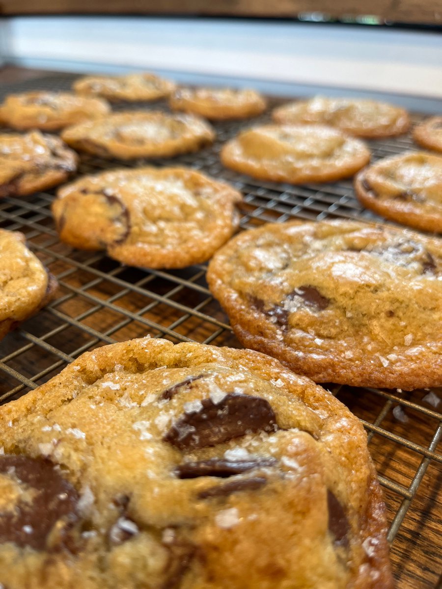 I might not be the best actor on your project, but I bet I’m the only one who brings homemade chocolate chip cookies to set when you hire me. See you on set shortly!