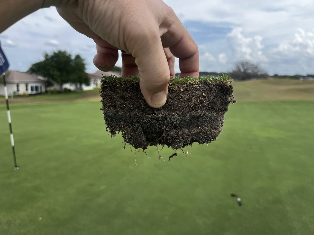 Fall and Winter programs just north of the villages really paying off in spring 😎 ⛳️ 🌞 <a href="/TurfsolutionsFL/">Nathan Florian</a> <a href="/FoliarPak/">Foliar-Pak</a>