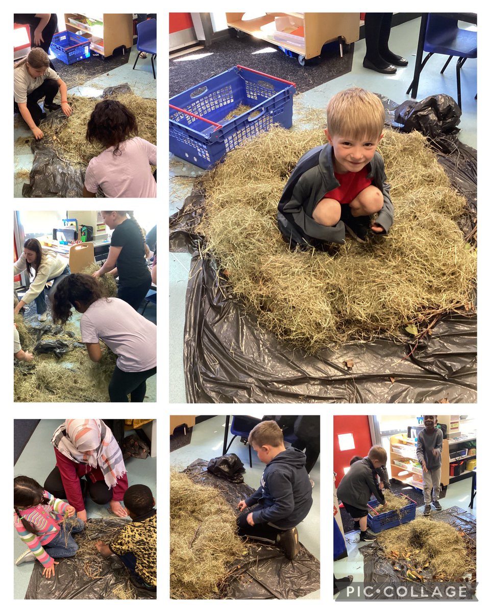 Miss Flynn tweet media