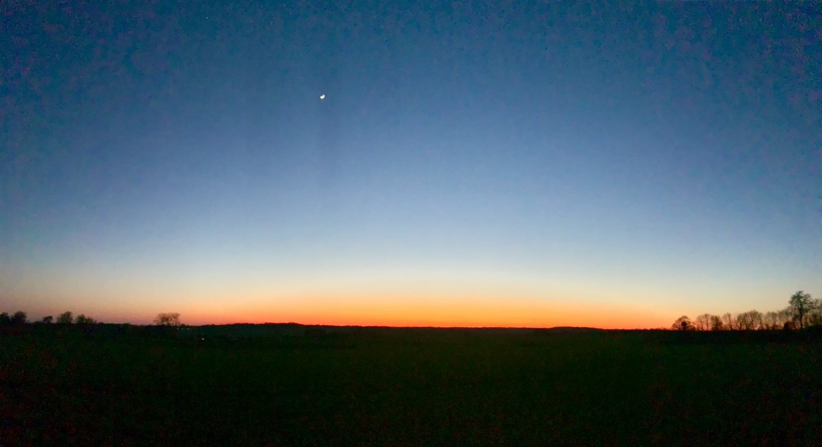 Great to have BST back and the chance for an evening walk just as crops have woken up. 
#bentfieldburyfarms #harvest25
