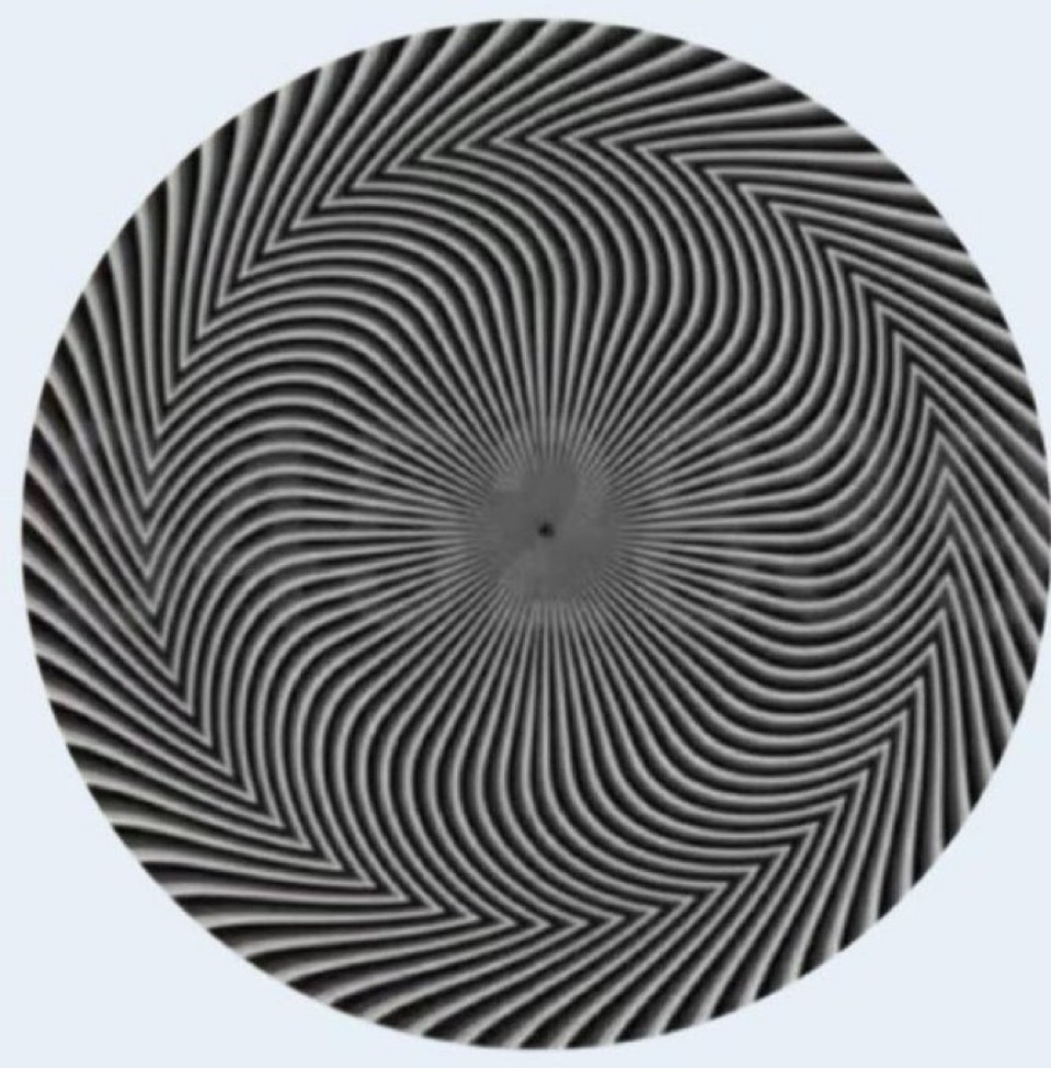 Let’s end this once and for all. 

What numbers do you see?