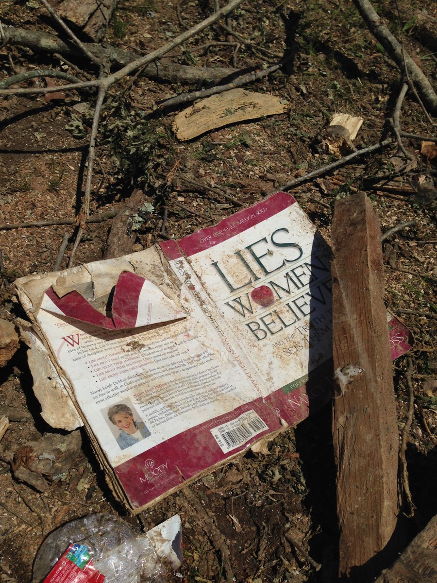 Today, I received a message from a friend, who reminded me that this is the anniversary of the original release of Lies Women Believe, back in 2001.

She wrote: “I took this picture [above] in 2014 of Kerry Tittle’s Lies Women Believe book that I found a few miles from their