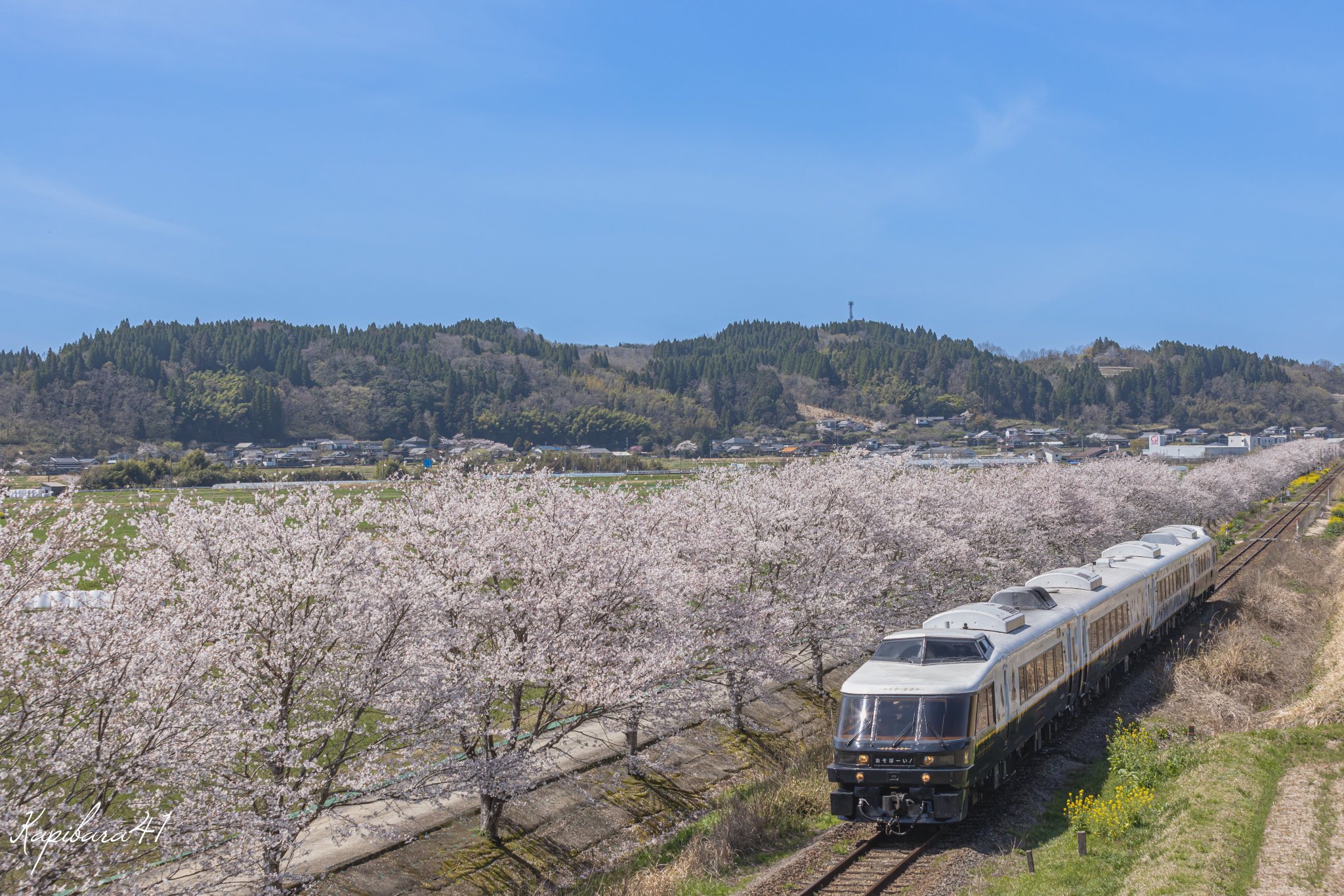 wahaha | 春を探しに播但線② 2022.03.27 キハ41のふつう顔側