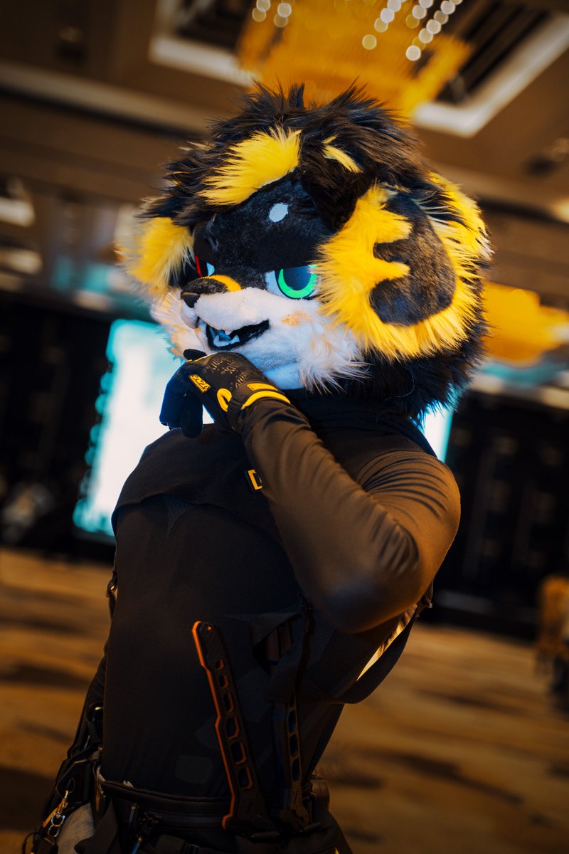 给你的麻烦开个价吧😈

摄影：<a href="/LeonHHHHHu/">Leon糊糊糊糊糊</a> 
#FursuitEveryday