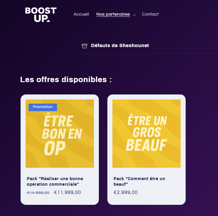 gomme2survie's tweet photo. C'est n'importe quoi regarder comment @Sheshounet nous vend ses formation  #boostup https://t.co/LCQd4zr5q6