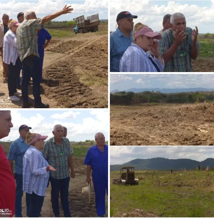 Como parte del proceso de la recuperación cañera, áreas de la UBPC Tuinucú pertenecientes a la Empresa Agroindustrial Azucarera Melanio Hernández se encuentran listas para la siembra de primavera.
#DePieYCombatiendo <a href="/DiazCanelB/">Miguel Díaz-Canel Bermúdez</a> <a href="/DrRobertoMOjeda/">Dr. Roberto Morales Ojeda</a> <a href="/PartidoPCC/">Partido Comunista de Cuba</a> .
