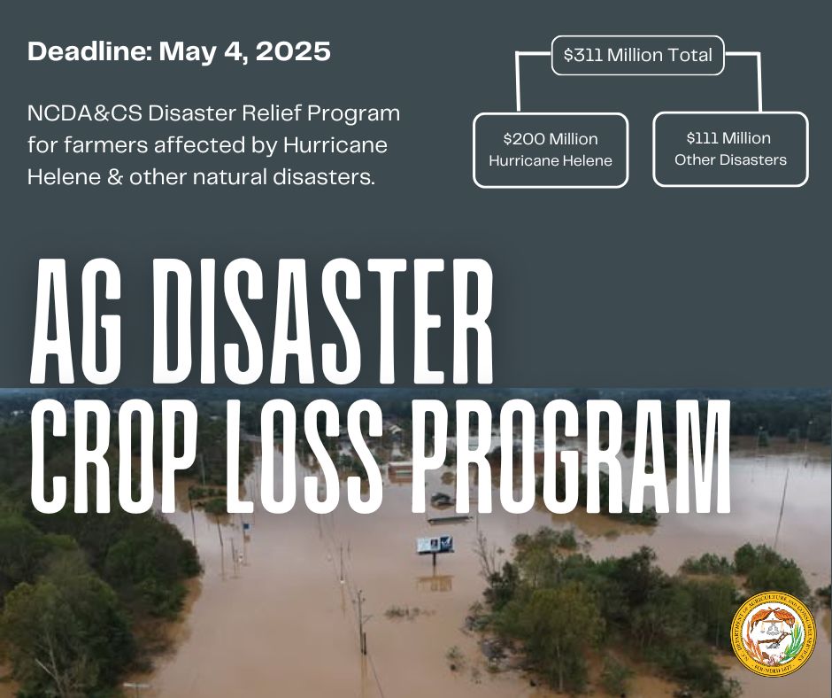 NCDA&CS (@ncagriculture) on Twitter photo On March 19 2025, the NC General Assembly established the Agricultural Disaster Crop Loss Program, a one-time assistance program for ag producers who suffered verifiable losses from any declared disaster in 2024.
Learn more below! #NCAgriculture 
➡️ loom.ly/m8OnSek On March 19 2025, the NC General Assembly established the Agricultural Disaster Crop Loss Program, a one-time assistance program for ag producers who suffered verifiable losses from any declared disaster in 2024.
Learn more below! #NCAgriculture 
➡️ loom.ly/m8OnSek