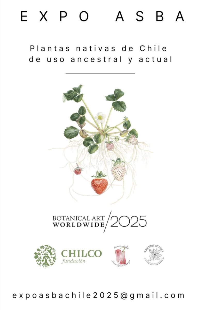 ladera_sur's tweet photo. #PanoramaLS Chile será parte de la 2° Exposición Mundial de Ilustración Botánica con una muestra inédita sobre plantas nativas de uso ancestral y actual 🌿🌱
📌 Entérate sobre más detalles en el siguiente enlace: https://t.co/V5Y7FTnotR https://t.co/W6oIptimMU