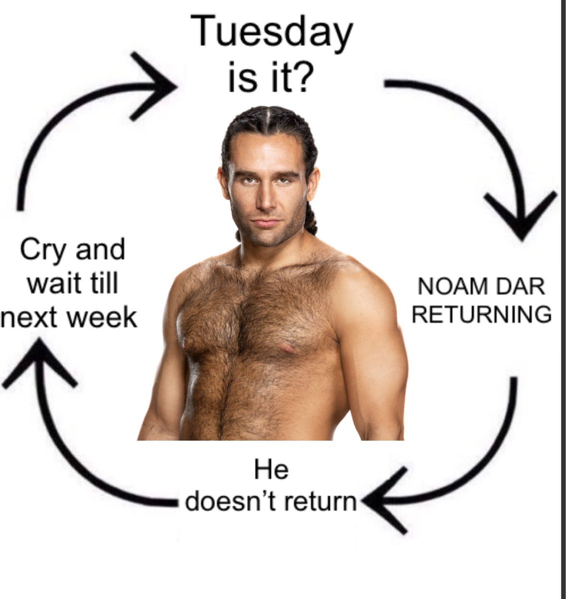 SUPERNOVA11 tweet media