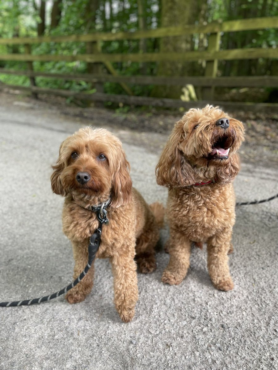 ellymoritz tweet media